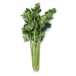 Compra APIO KALIDARA RZ F1 Pildorado (10.000 Semillas) en la tienda online Fito Agrícola