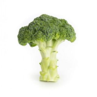 Compra BRÓCOLI ROBREDO RZ F1 Precisión (2.500 Semillas). en la tienda online Fito Agrícola