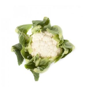 Compra COLIFLOR CERCY RZ F1 (10.000 Semillas) en la tienda online Fito Agrícola