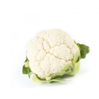 Compra COLIFLOR TRAMONT RZ F1 Precisión (2.500 Semillas). en la tienda online Fito Agrícola