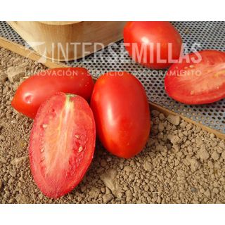 Compra TOMATE IULO F-1 (1000 Semillas). en la tienda online Fito Agrícola