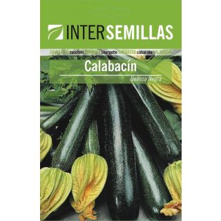 Compra CALABACÍN BELLEZA NEGRA ECOLÓGICO (500 gr.). en la tienda online Fito Agrícola