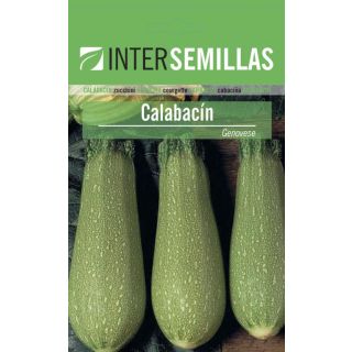 Compra CALABACÍN GENOVESE ECOLÓGICO (500 gr.). en la tienda online Fito Agrícola
