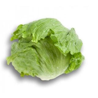 Compra LECHUGA LORQUINAS RZ Pildorada (5.000 Semillas). en la tienda online Fito Agrícola