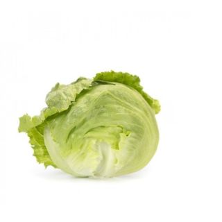 Compra LECHUGA OZONAS RZ Pildorada (5.000 Semillas). en la tienda online Fito Agrícola