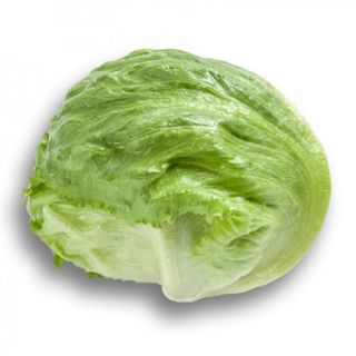 Compra LECHUGA SUMARNAS RZ Pildorada (5.000 Semillas). en la tienda online Fito Agrícola