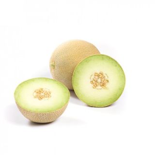 Compra MELÓN VENUS RZ F1 (1.000 Semillas). en la tienda online Fito Agrícola