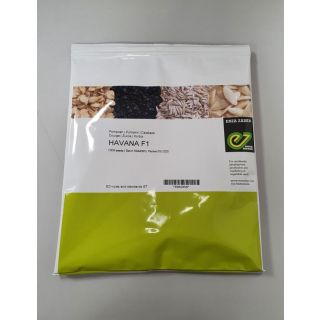 Compra CALABAZA HAVANA F1 (1000 Semillas). en la tienda online Fito Agrícola