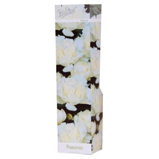 Compra PEONÍA DOBLE BLANCA (1 Unid.) en la tienda online Fito Agrícola