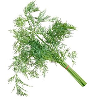 Compra ENELDO VELETA (50.000 Semillas). en la tienda online Fito Agrícola