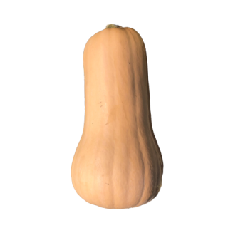 Compra CALABAZA DORIN F1(1.000 Semillas) en la tienda online Fito Agrícola