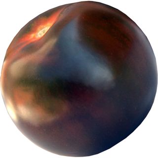 Compra TOMATE SIBARITA F1 (1.000 Semillas) en la tienda online Fito Agrícola