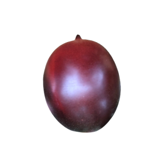 Compra TOMATE PERA LILA F1 (1.000 Semillas) en la tienda online Fito Agrícola