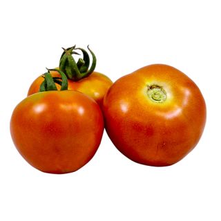 Compra TOMATE DE COLGAR Sel. Diamond (1.000 Semillas) en la tienda online Fito Agrícola