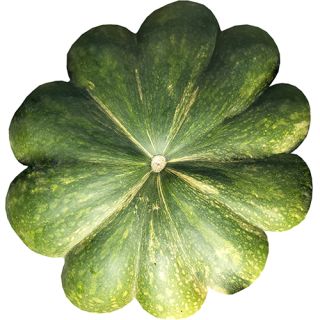 Compra CALABAZA MUSQUÉE DE PROVENCE Sel. Diamond (1.000 Semillas) en la tienda online Fito Agrícola