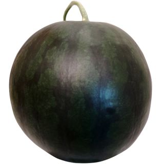 Compra SANDÍA BUNGI F1 (1.000 Semillas) en la tienda online Fito Agrícola