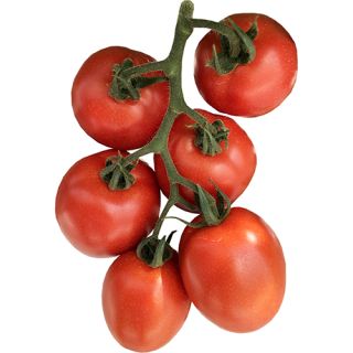 Compra TOMATE SALPER F1 (1.000 Semillas) en la tienda online Fito Agrícola