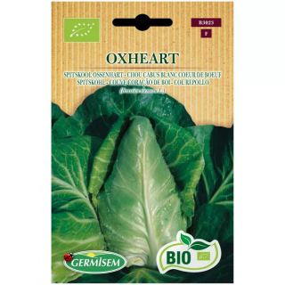 Compra COL OXHEART BIO (100 gr.). en la tienda online Fito Agrícola
