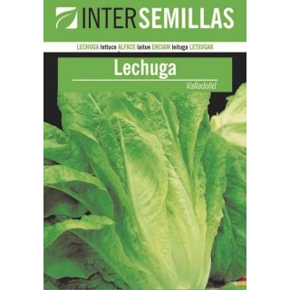 Compra LECHUGA VALLADOLID (2 gr.) en la tienda online Fito Agrícola