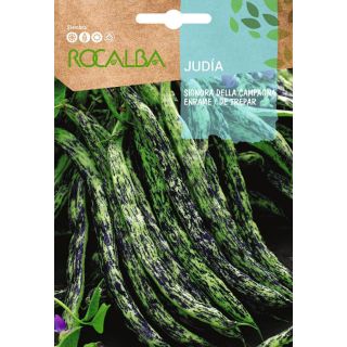 Compra JUDÍA SIGNORA DELLA CAMPAGNA (50 gr.). en la tienda online Fito Agrícola