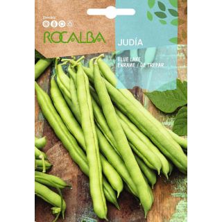 Compra JUDÍA BLUE LAKE (1 Kgr.). en la tienda online Fito Agrícola