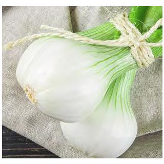 Compra CEBOLLA BABOSA PACK 50 ECO en la tienda online Fito Agrícola