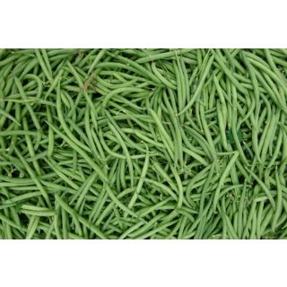 Compra JUDÍA GAUDI (5 Kgr.). en la tienda online Fito Agrícola