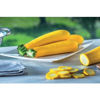 Compra CALABACÍN LINGODOR F1 (1.000 Semillas) en la tienda online Fito Agrícola