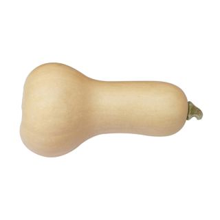 Compra CALABAZA EARLY BUTTERNUT F1 BIO (250 Semillas). en la tienda online Fito Agrícola