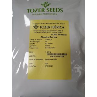 Compra CILANTRO SANTOS (10.000 Semillas) en la tienda online Fito Agrícola