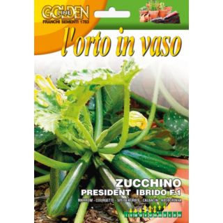 Compra CALABACÍN PRESIDENT F1 (100 gr.). en la tienda online Fito Agrícola