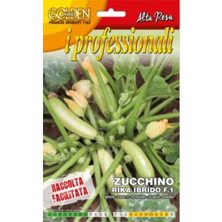Compra CALABACÍN RIKA F1 (10 gr.). en la tienda online Fito Agrícola