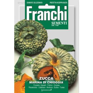Compra CALABAZA MARINA DI CHIOGGIA (100 gr.). en la tienda online Fito Agrícola