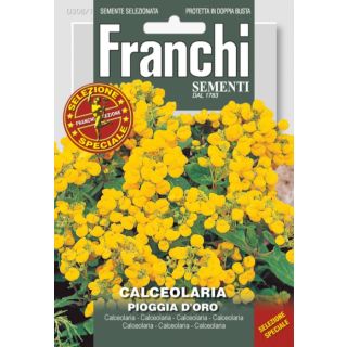 Compra CALCEOLARIA RUGOSA AMARILLA (1 gr.). en la tienda online Fito Agrícola