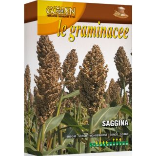 Compra SORGO (100 gr.). en la tienda online Fito Agrícola