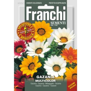 Compra GAZANIA MULTICOLOR (10 gr.). en la tienda online Fito Agrícola