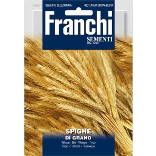 Compra ESPIGAS ORNAMENTALES FLOR SECA (100 gr.). en la tienda online Fito Agrícola