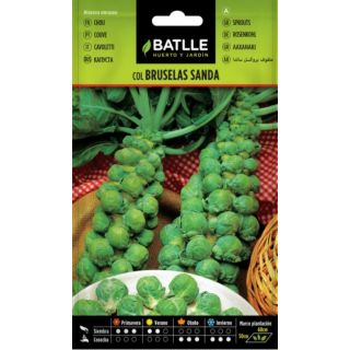 Compra COL DE BRUSELAS SANDA (8 gr.): en la tienda online Fito Agrícola