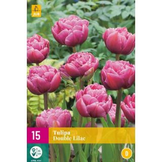 Compra TULIPÁN DOUBLE LILAC XXL en la tienda online Fito Agrícola