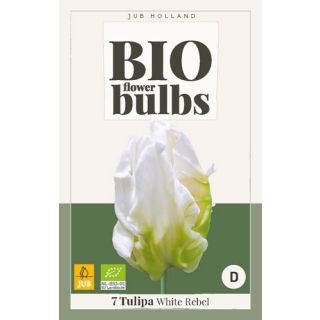 Compra TULIPÁN WHITE REBEL BIO en la tienda online Fito Agrícola