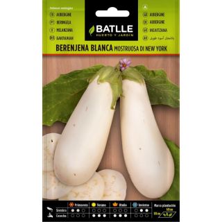 Compra BERENJENA BLANCA MONSTRUOSA DE NEW YORK (2 gr.). en la tienda online Fito Agrícola