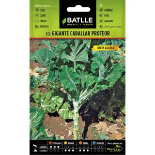 Compra COL GIGANTE CABALLAR Sel. Proteor (100 gr.) en la tienda online Fito Agrícola