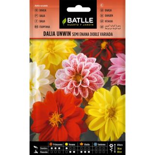 Compra DALIA UNWIN SEMI ENANA (100 gr.). en la tienda online Fito Agrícola