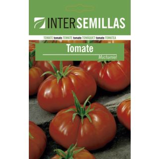 Compra TOMATE MUCHAMIEL Sin Tratar (10 gr.). en la tienda online Fito Agrícola