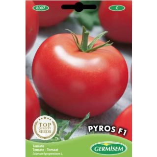 Compra TOMATE PYROS F1 (1000 Semillas). en la tienda online Fito Agrícola