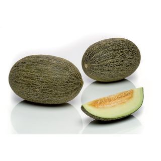 Compra MELÓN VALENTIN F1 (250 Semillas). en la tienda online Fito Agrícola