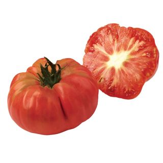 Compra TOMATE POTIRON ECARLATE Sin Tratar (250 Semillas). en la tienda online Fito Agrícola
