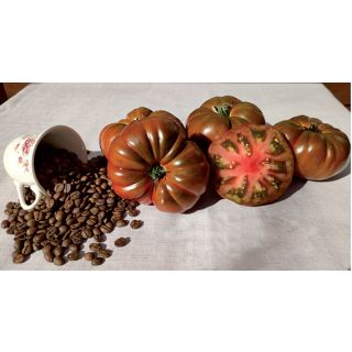 Compra TOMATE CAPPUCCINO F1 Sin Tratar (250 Semillas). en la tienda online Fito Agrícola