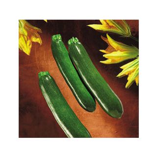 Compra CALABACÍN MIKONOS F1 (1.000 Semillas) en la tienda online Fito Agrícola