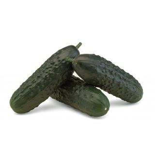 Compra PEPINO HERAS F1 (1.000 Semillas) en la tienda online Fito Agrícola